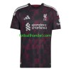 Herre Fotballdrakter Liverpool Tredje 2026-27 Kortermet